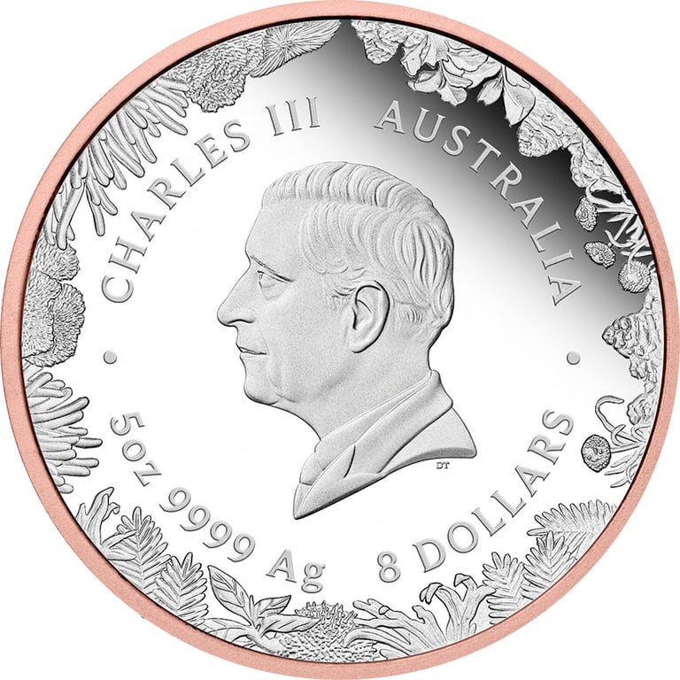 Back of Silver 5 oz Kangaroo Proof – Partially Gilded 2026