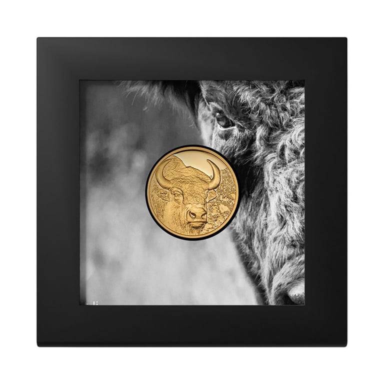Gold Bison 1/10 oz PF - High Relief 2025 in the original coin case