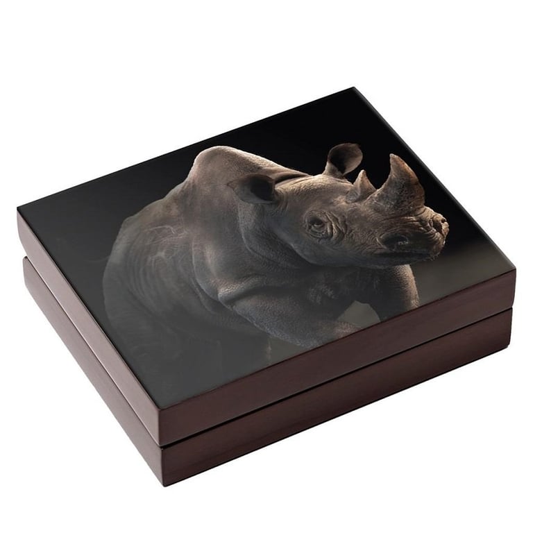 Original coin case of the Gold Rhino Big Five Series II - 2 x 1/4 oz PF Set Double Capsule - 2022