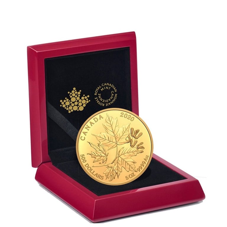 Gold Maple Leaf 5 oz PF - 2020 in the original coin case