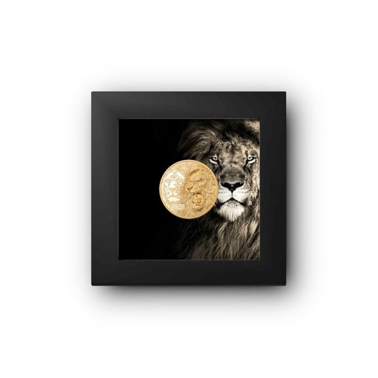 Gold King of the South - Lion 1/4 oz PF - Ultra High Relief in the original coin case