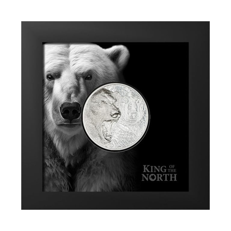 Silver King of the North - Polar Bear 1 oz PF - Ultra High Relief in the original coin case