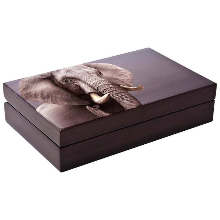 Original coin case of the Silver Elephant Big Five Series II - 2 x 1 oz PF set double capsule