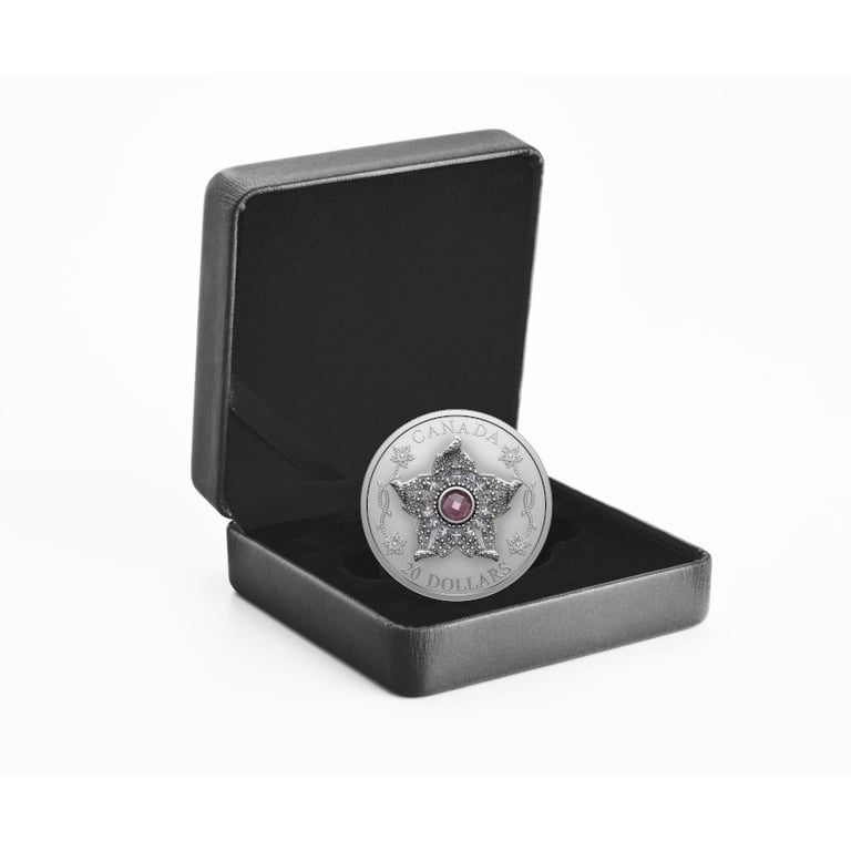 Silver 'Williamson Diamond Brooch' 1 oz - Matte Proof 2025 in the original coin case