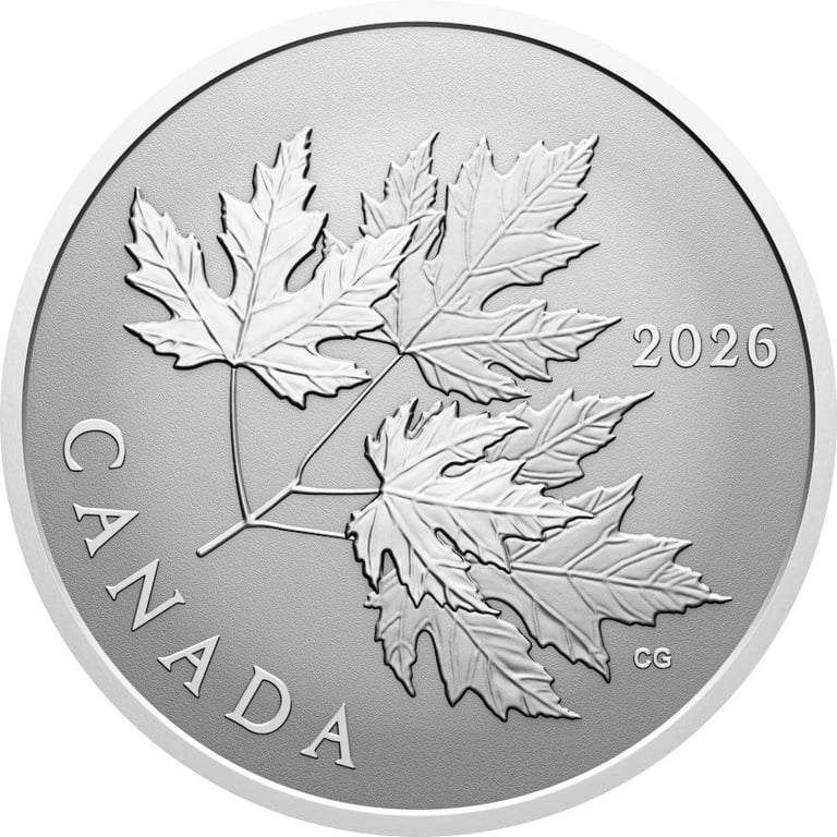 Front of Silver Gleaming Maple Leaf 1/2 oz RP - 2026