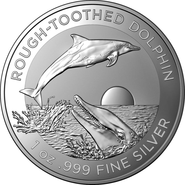 Front of the Silver Rough-Toothed Dolphin 1 oz - RAM 2023