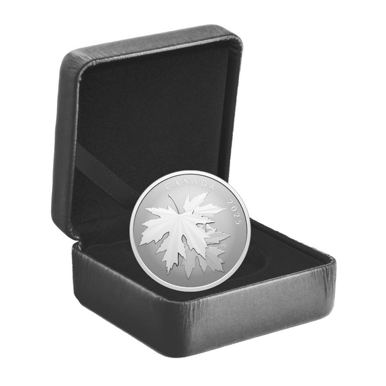 Silver Gleaming Maple Leaf 1/2 oz RP - 2025 in the original coin case