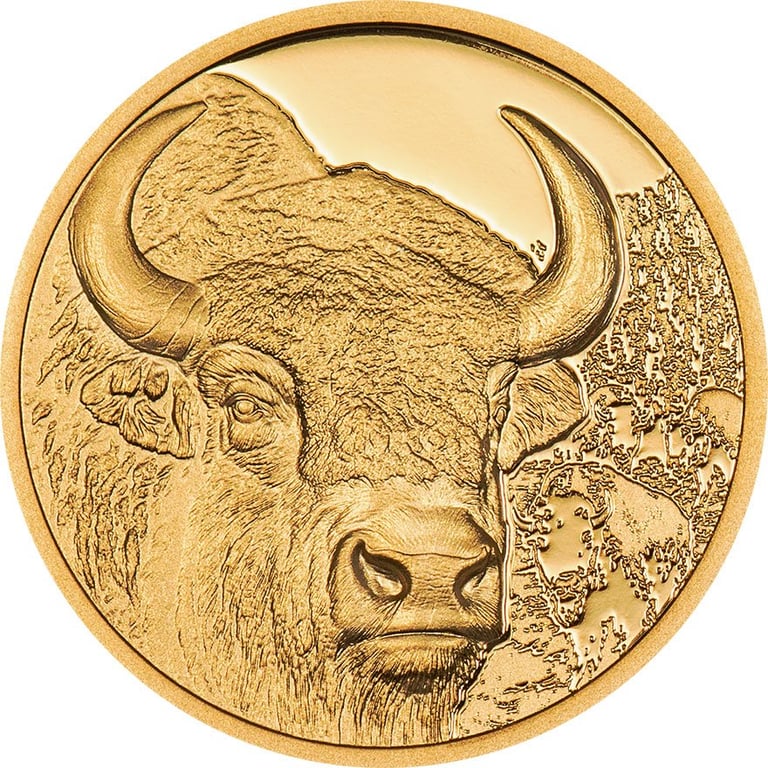 Front of the Gold Bison 1/10 oz PF - High Relief 2025