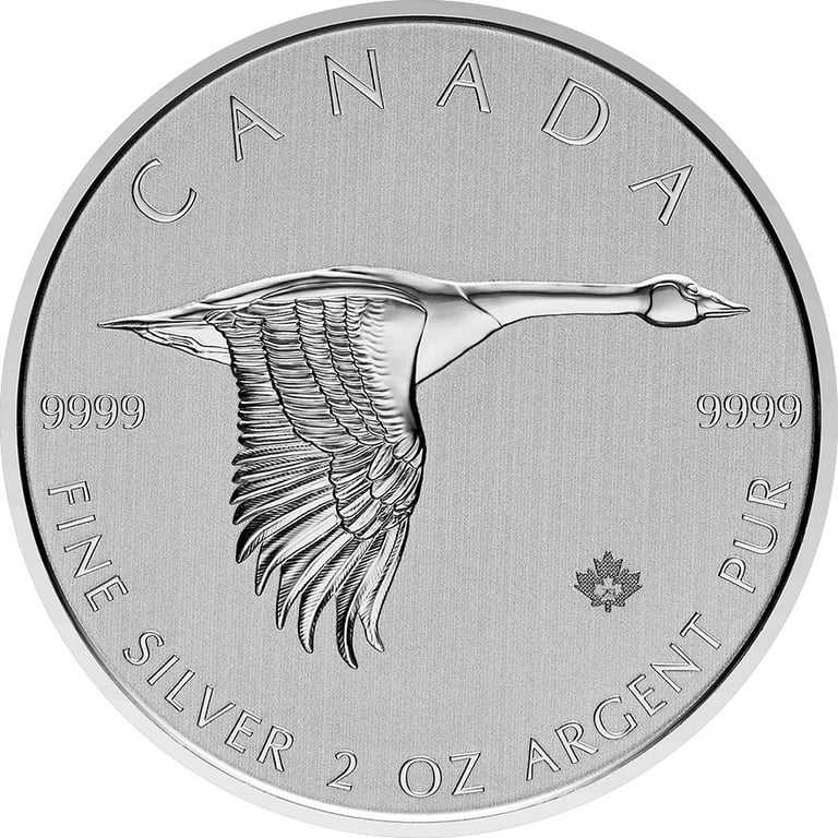 Front of the Silver Canada Goose 2 oz - 2020