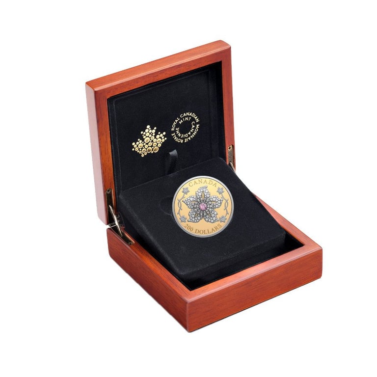 Gold 'Williamson diamond brooch' 60 g PF - Pink tourmaline 2025 in the original coin case