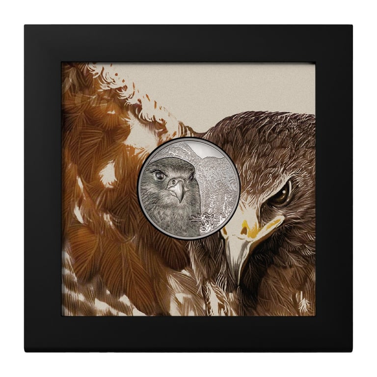 Platinum Mongolian Falcon 1 oz PF - High Relief 2023 in the original coin case