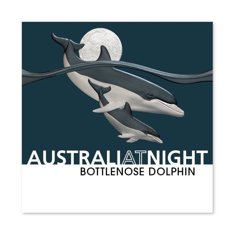 Original coin case of the Silver Bottlenose Dolphin 1 oz Black Proof - 2025