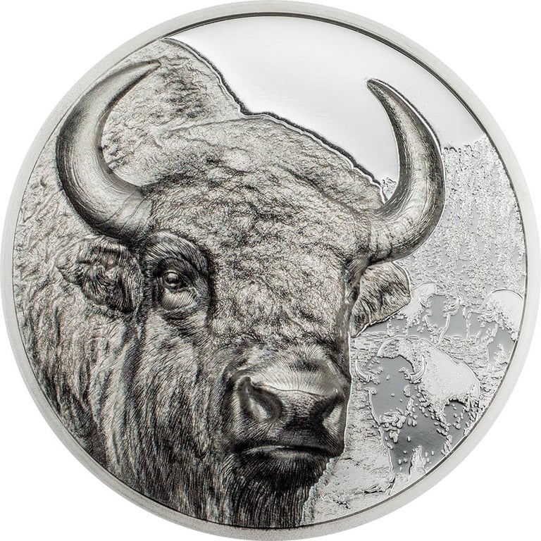 Front of the Silber Bison 1 oz PF - High Relief 2025