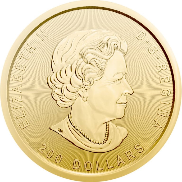 Back of the Gold Klondike Gold Rush 1 oz - Panning for Gold 2021