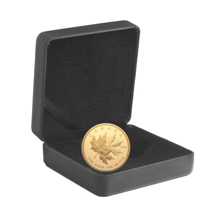Gold Triple Maple Leaf 1 oz PF - 2025 in the original coin case