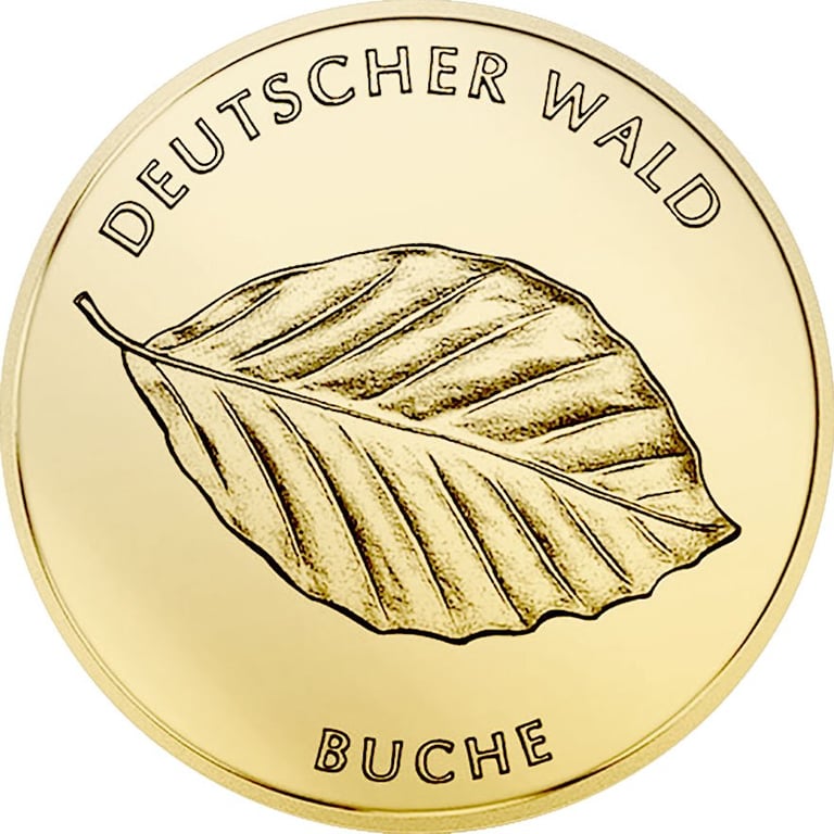 Back of the Gold Euro 1/8 oz - various years