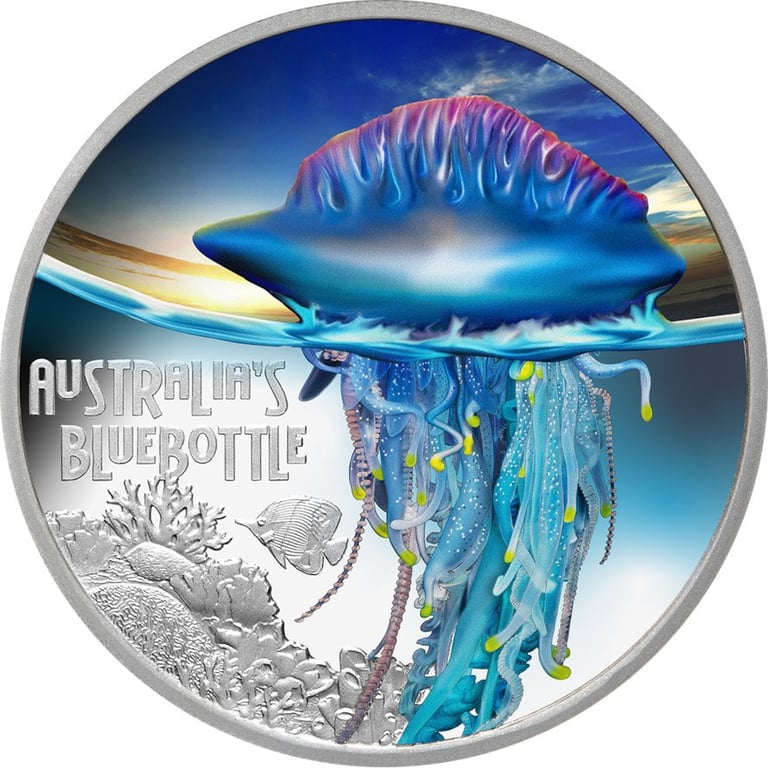 Front of the Silver Deadly & Dangerous 1 oz PF - Portuguese Galley 2024