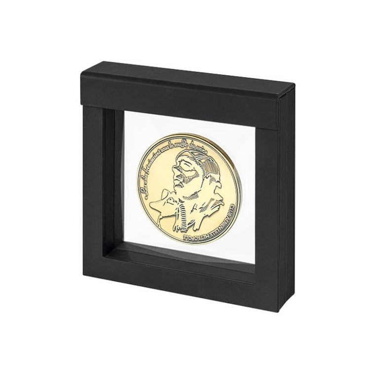 Front of the Floating frame for coins and bars medium