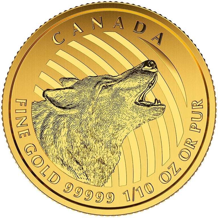 Front of the Gold Wolf 1/10 – Call of the Wild Serie 2015