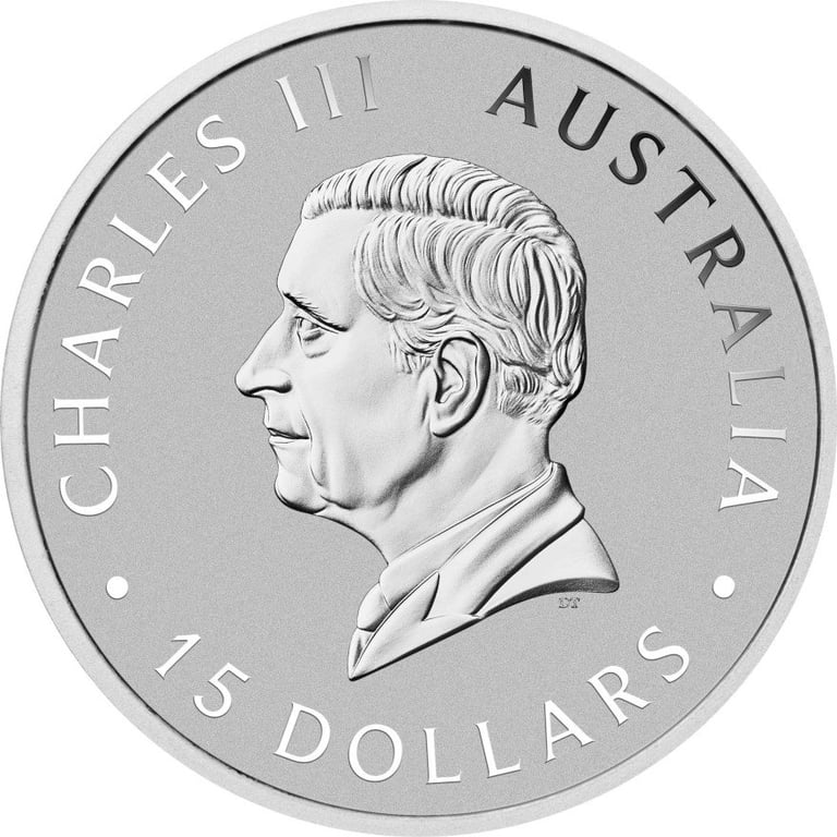 Back of the Platinum Koala 1/10 oz - 2024