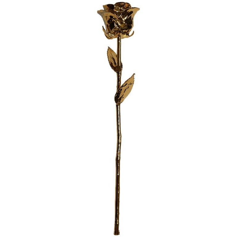 Front of the XL Rose 24 carat gold-plated incl. case