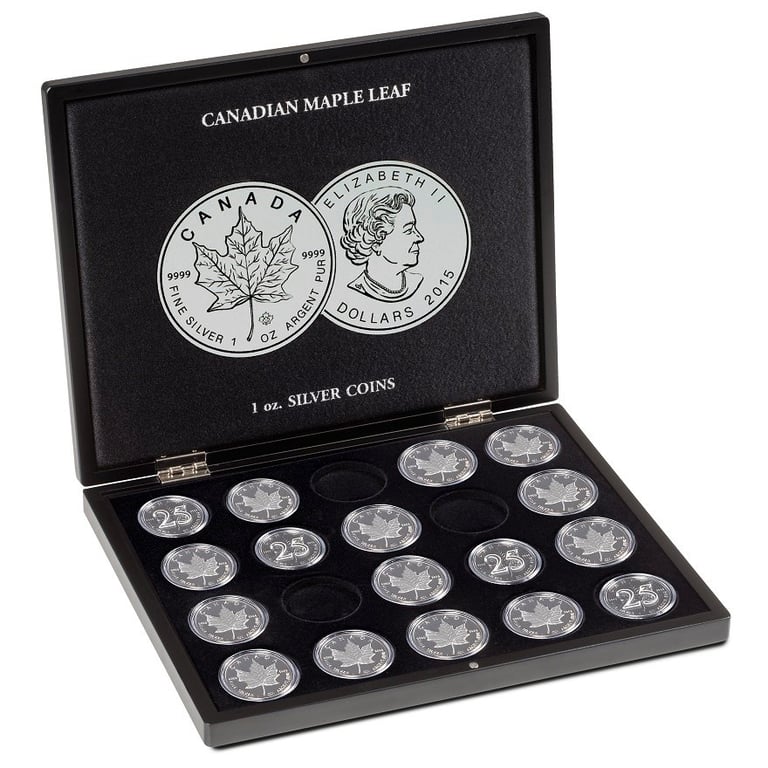  Coin case for 20 x encapsulated Silver Maple Leaf 1 oz