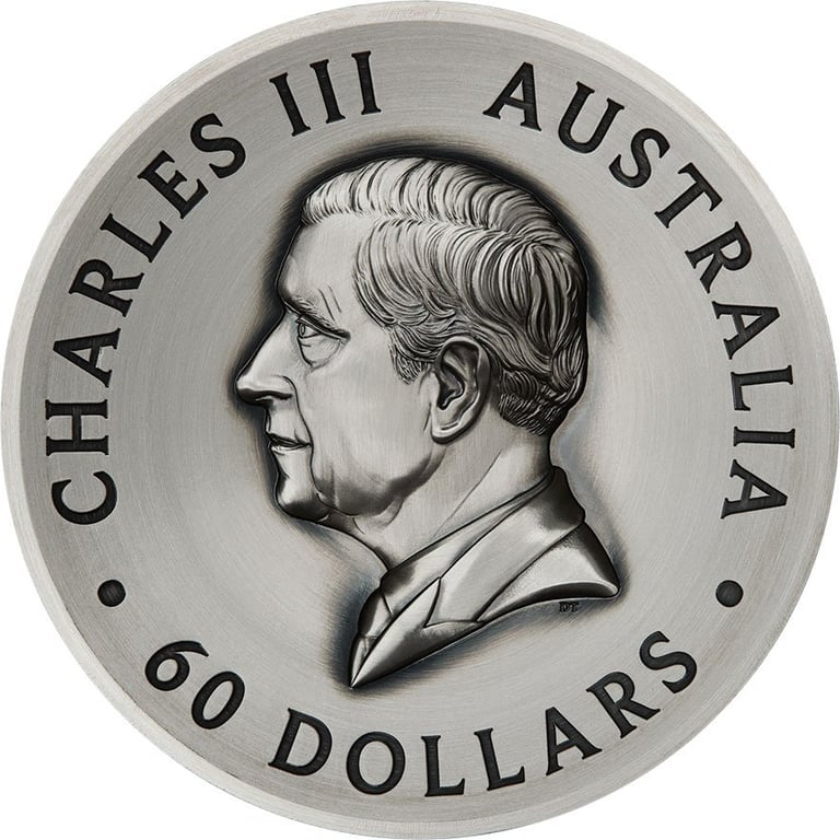 Back of Silver Butterfly 2000 g High Relief – Antique Finish 2025