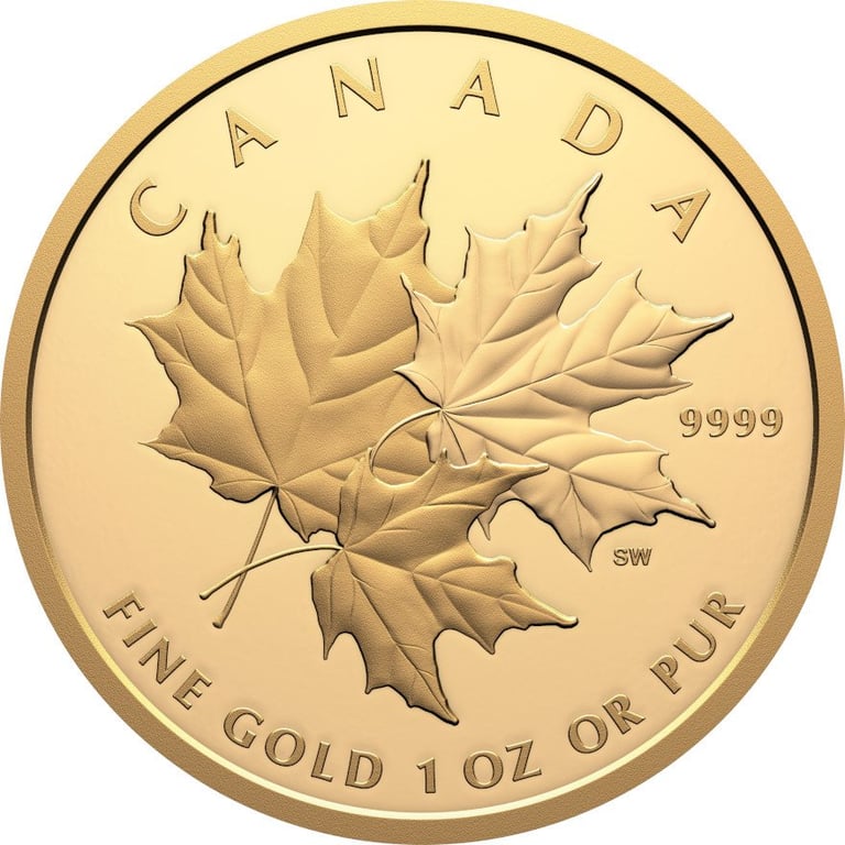 Front of the Gold Triple Maple Leaf 1 oz PF - 2025