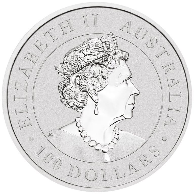 Back of the Platinum Kangaroo 1 oz