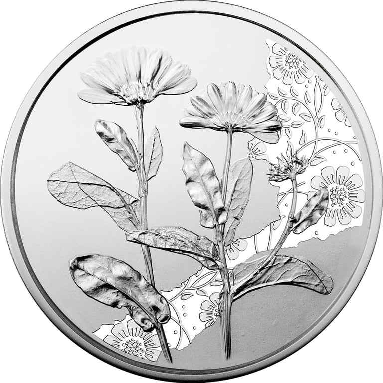 Front of the Silver marigold 10 EUR SU AUT - 2022