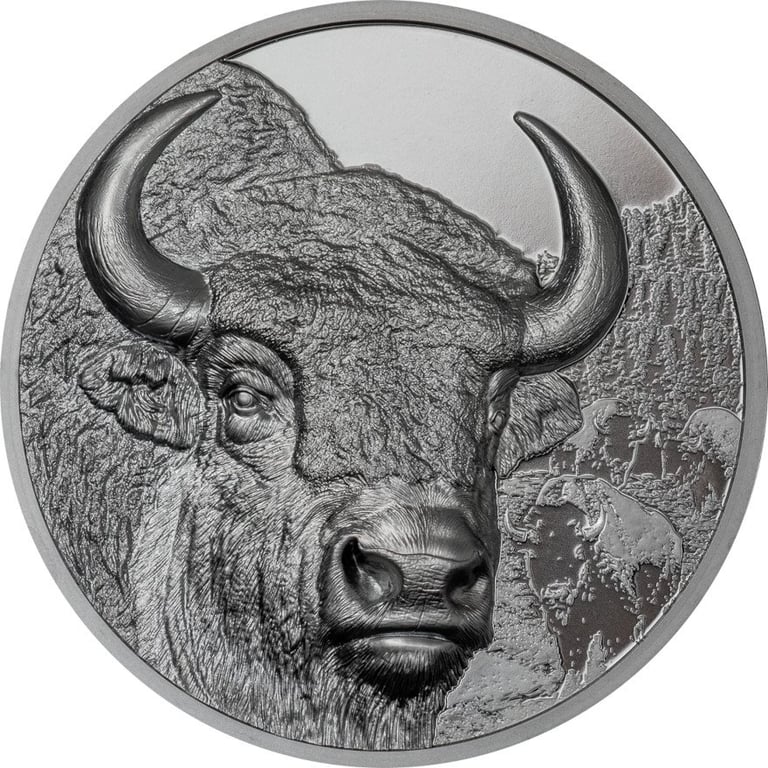 Front of the Silver Bison 2 oz Black Proof - High Relief 2025