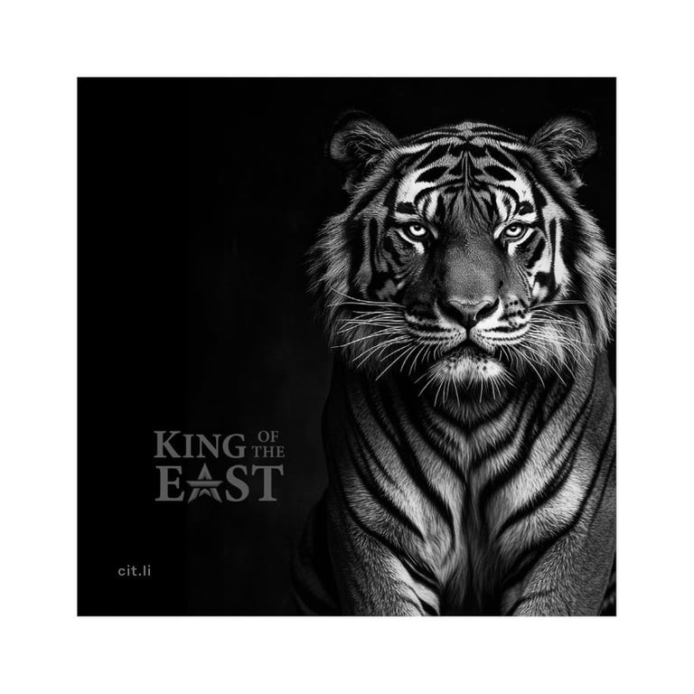 Original coin case of the Silver King of the East - Tiger 1000 g PF - Ultra High Relief