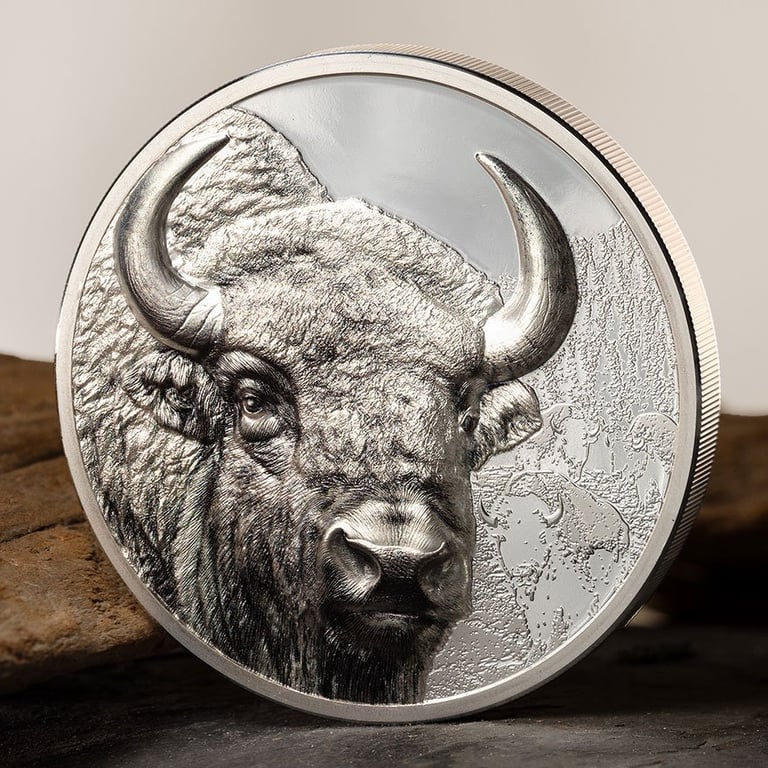 Front of the Silver Bison 3 oz PF - High Relief 2025
