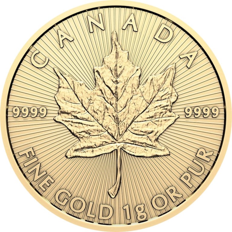 Front of the Gold Maple Leaf 25 - 2024