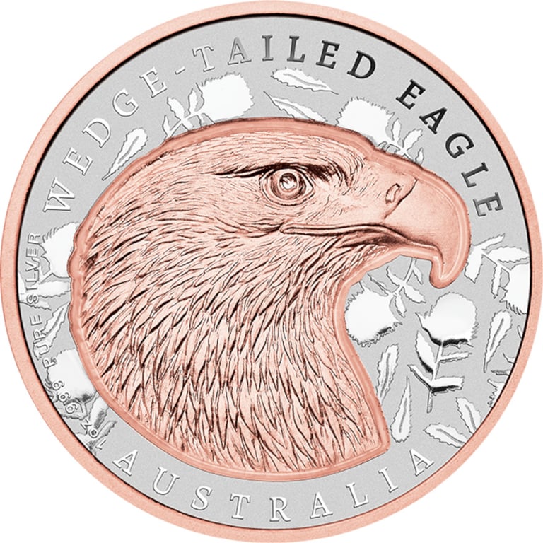 Front of Silber Wedge Tailed Eagle 1 oz  Super Incused 2026