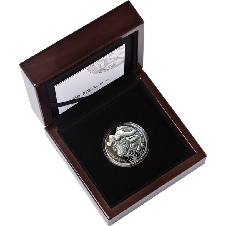 Platinum Buffalo 1 oz PF - Big Five South Africa in the original coin case