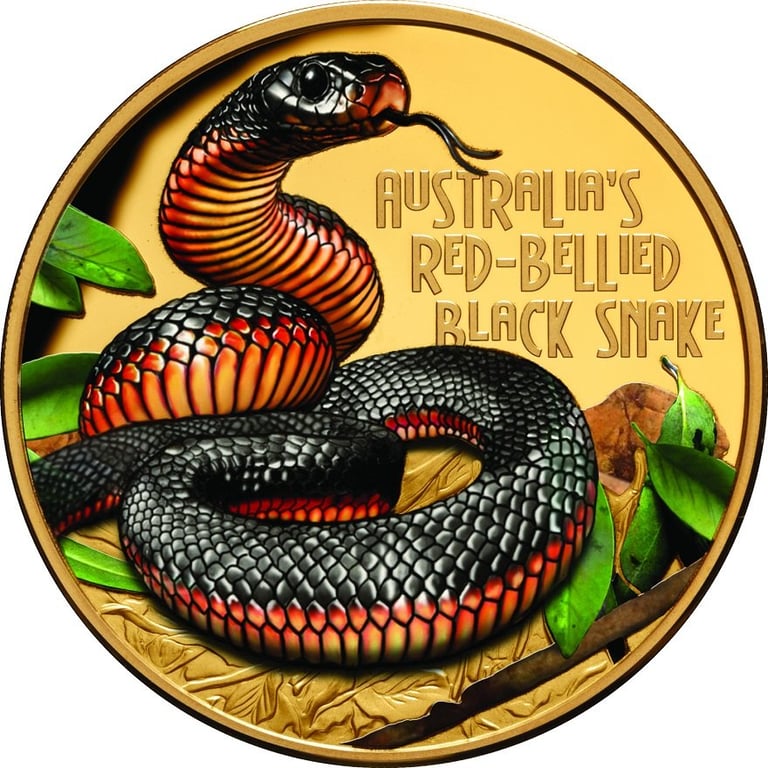 Front of the Gold Deadly & Dangerous - Red-bellied Black Adder 1 oz PF - 2022