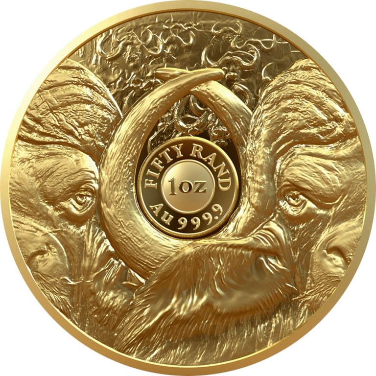 1240091.8617-Numisma-g_TO5_hc.jpg