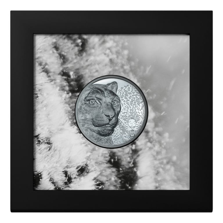 Silver Snow Leopard 2 oz Black Proof - High Relief 2024 in the original coin case