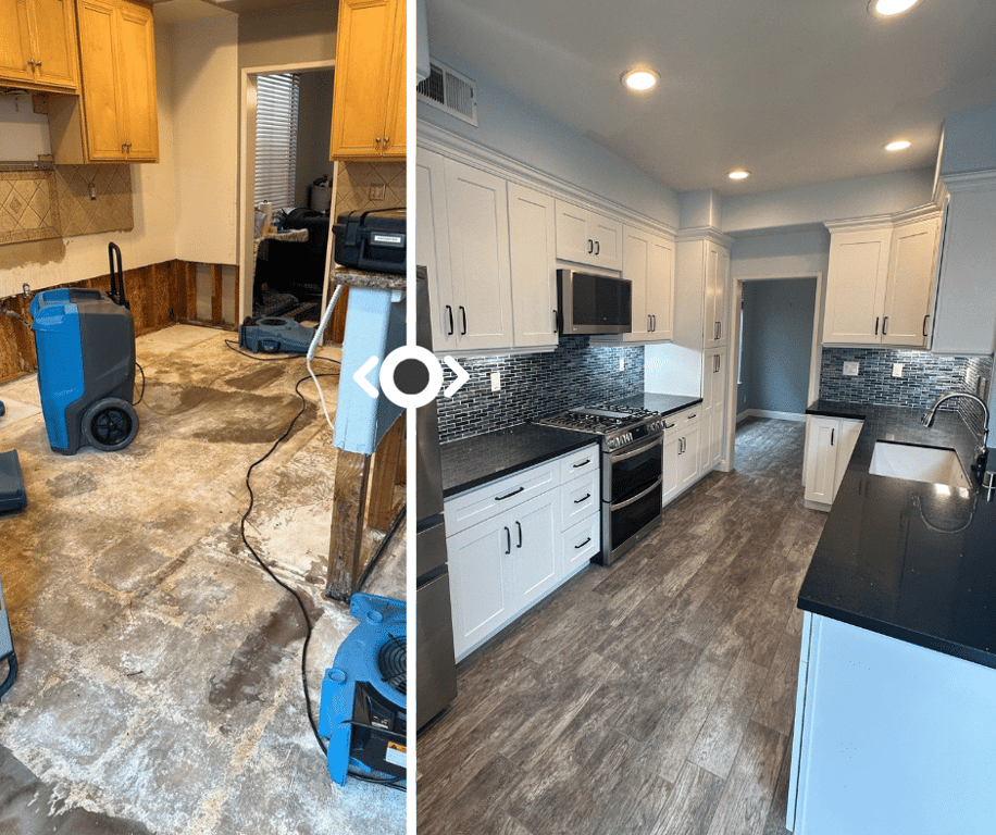 Before and after mold remediation