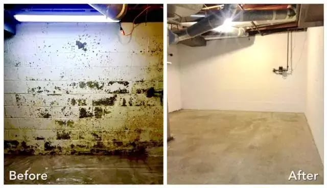 Before and after mold remediation