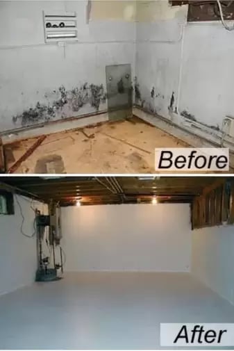 Before and after mold remediation