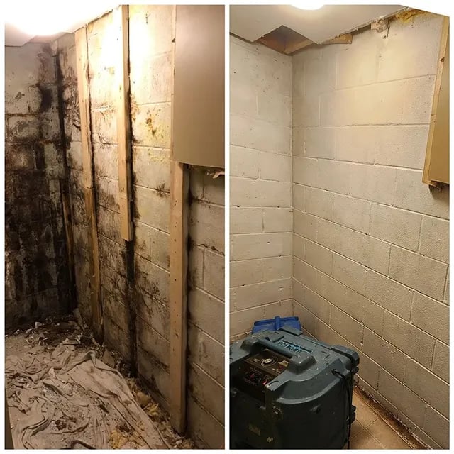 Before and after mold remediation