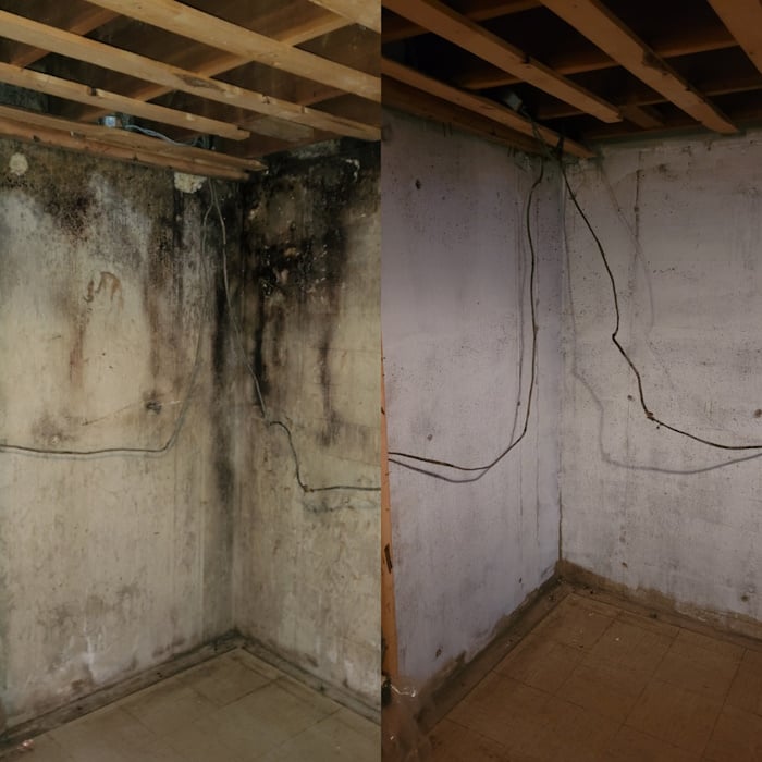 Before and after mold remediation