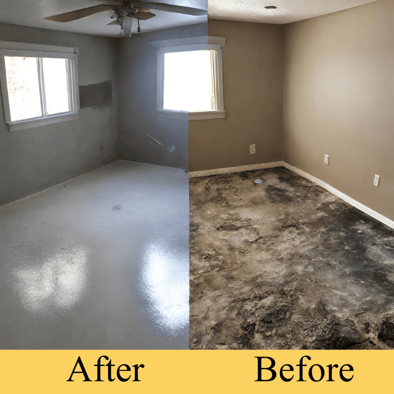 Before and after mold remediation