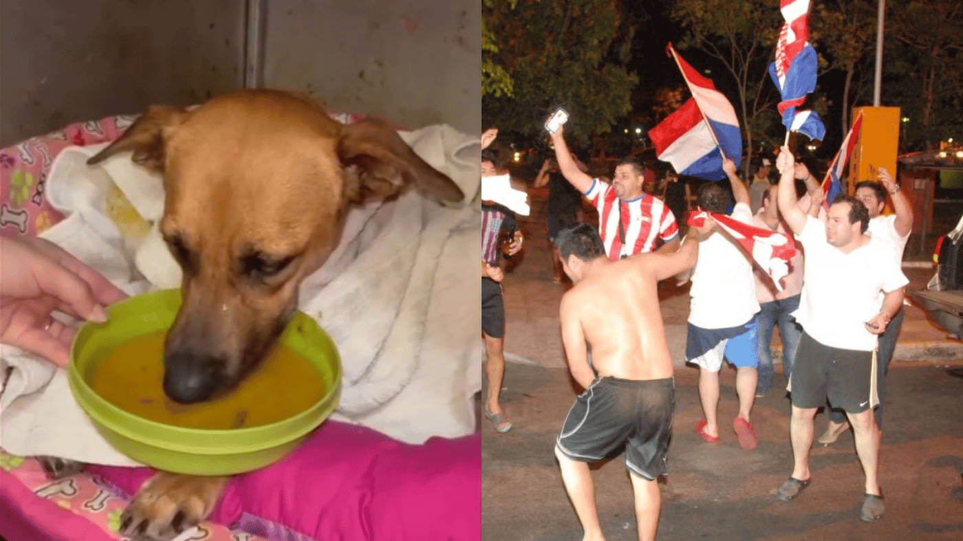 nota