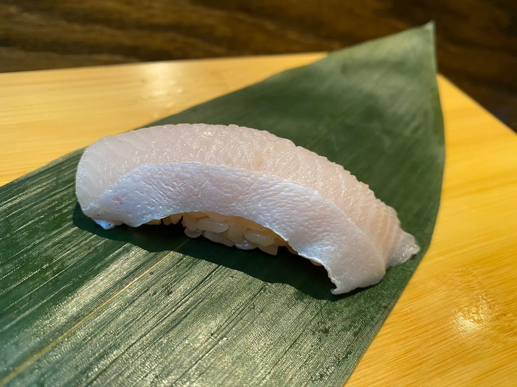 Yellowtail Toro