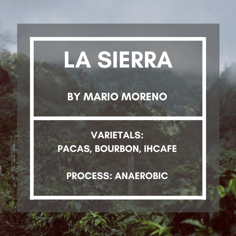 La Sierra, Honduras - Retail