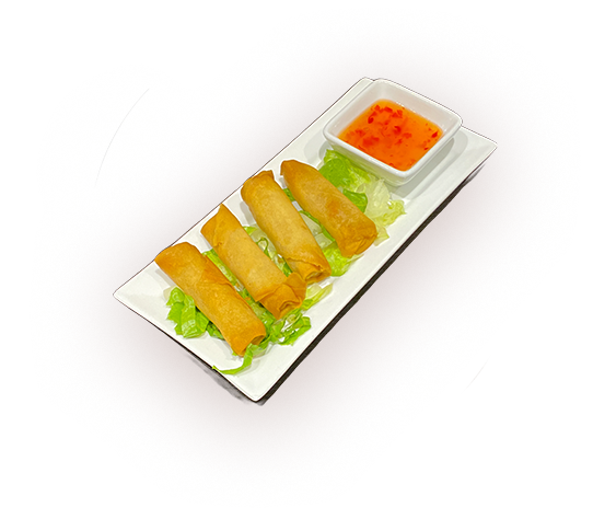 Spring Rolls 炸素春卷