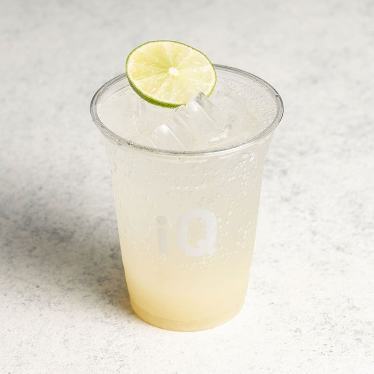 LEMON GINGER FIZZ